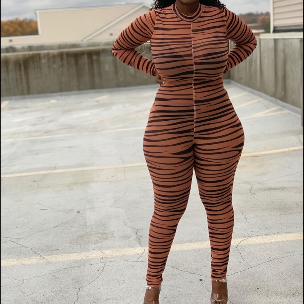 Tiger transparent one piece